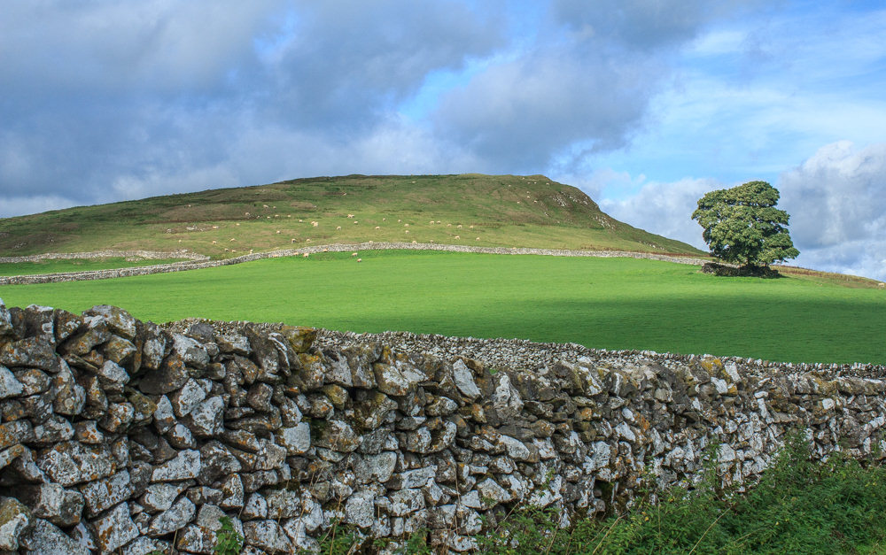 Narrowdale Hill Narrowdale Hill